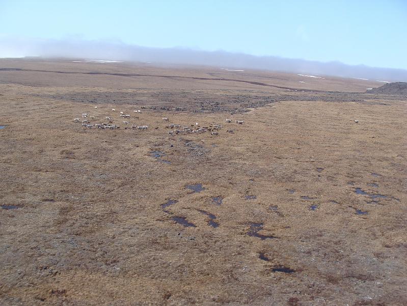 Alaska 2008 074.jpg
